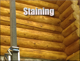  Pantego, North Carolina Log Home Staining